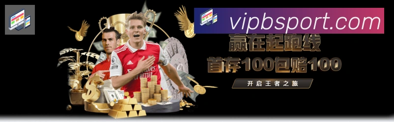 Bsports官网荣誉