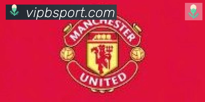 Bsports官网合作伙伴